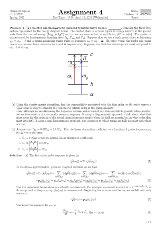 Assignment preview