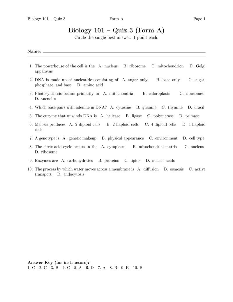 Multiple Choice Exam preview