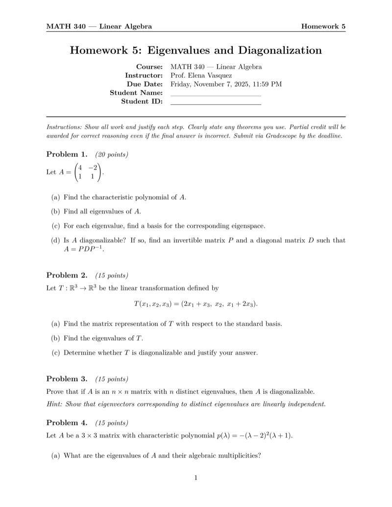 Homework Template preview