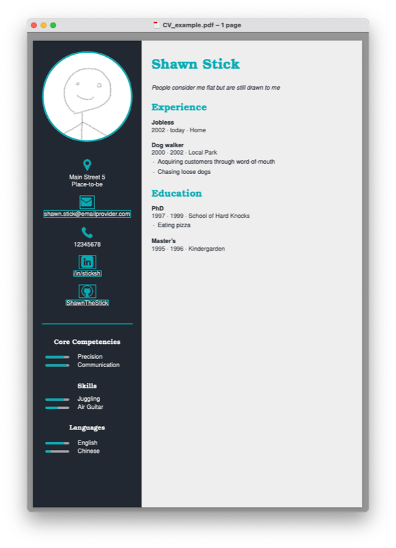 Cv preview