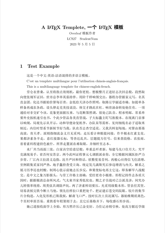LaTeX template preview