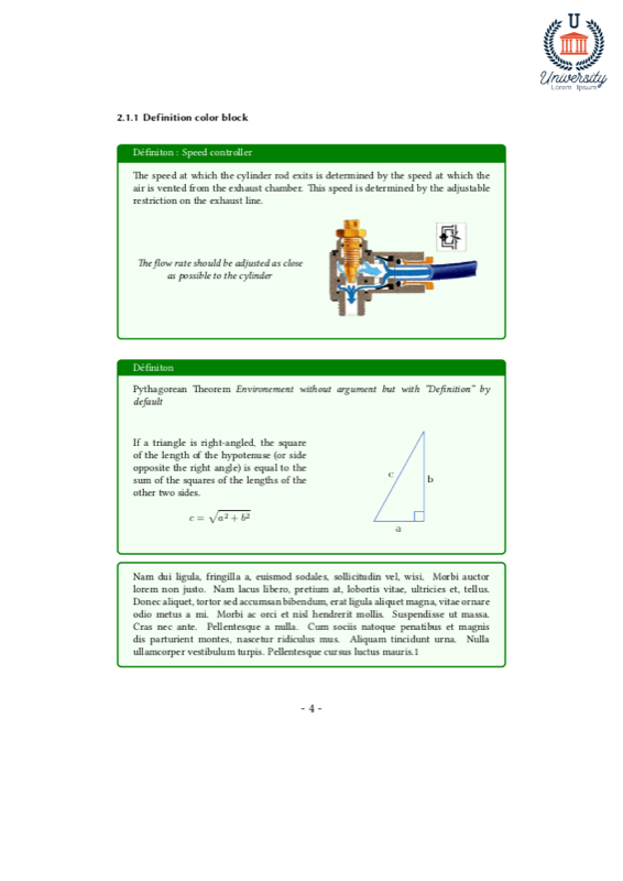 University Scrartcl preview