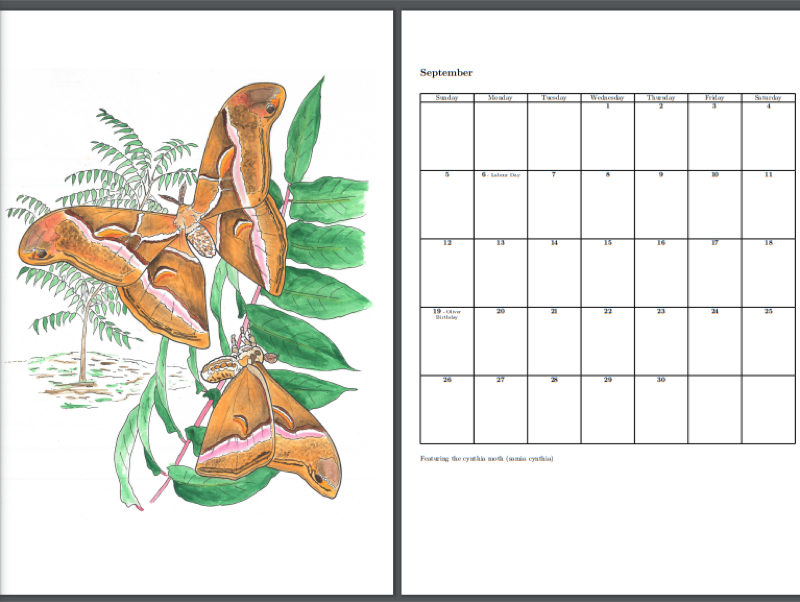 Printable Calendar preview