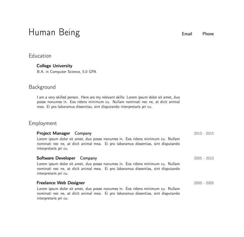 Pro Fresh Resume preview