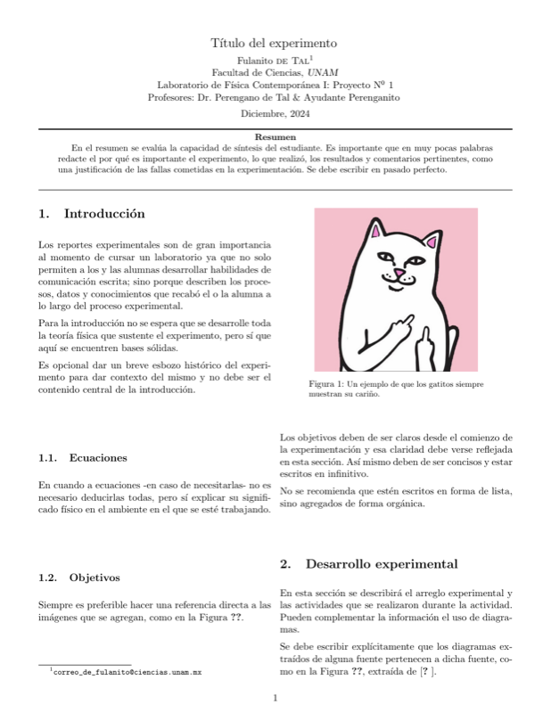 Report Templates preview