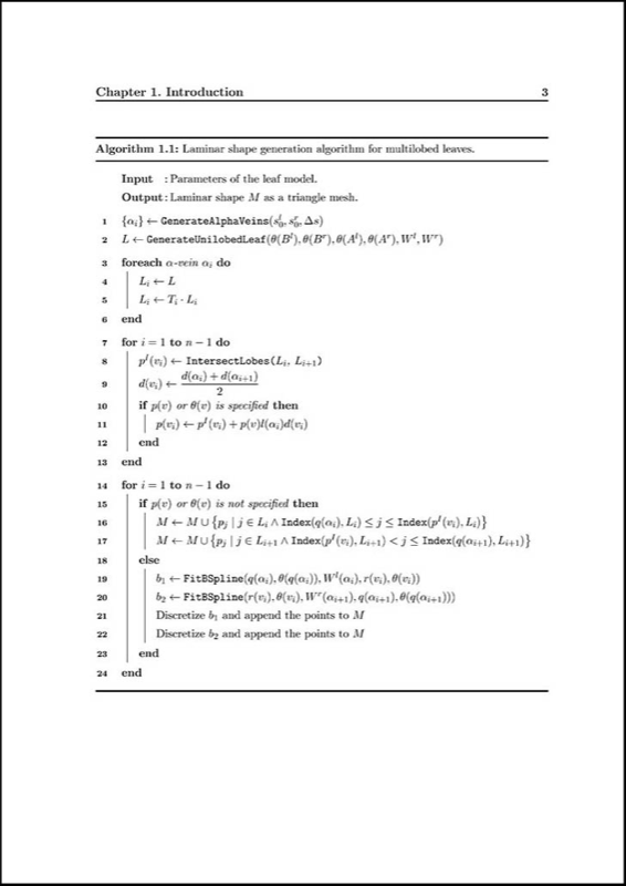 SPhdThesis preview